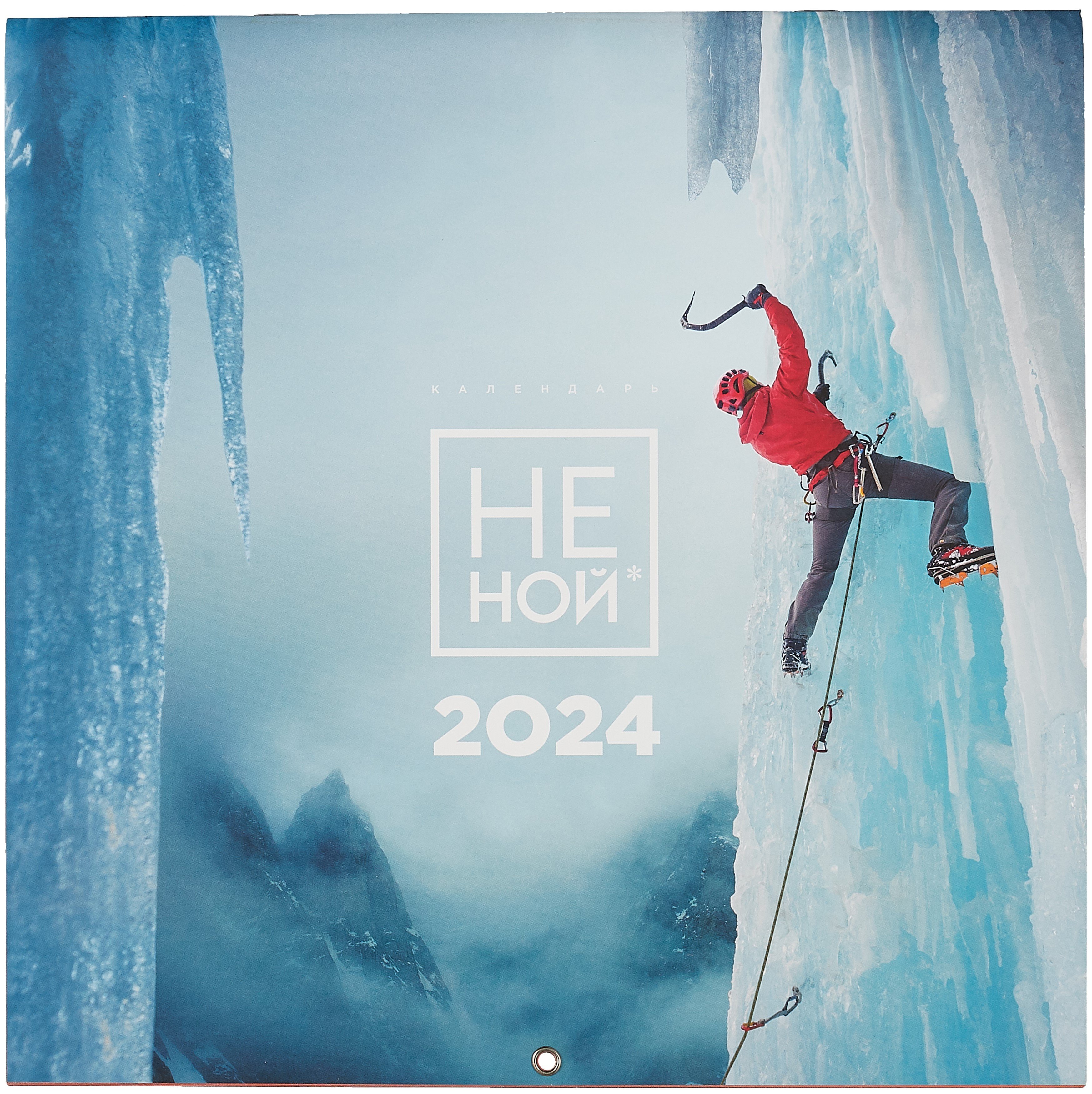 

НЕ НОЙ. Календарь настенный на 2024 год (300х300)