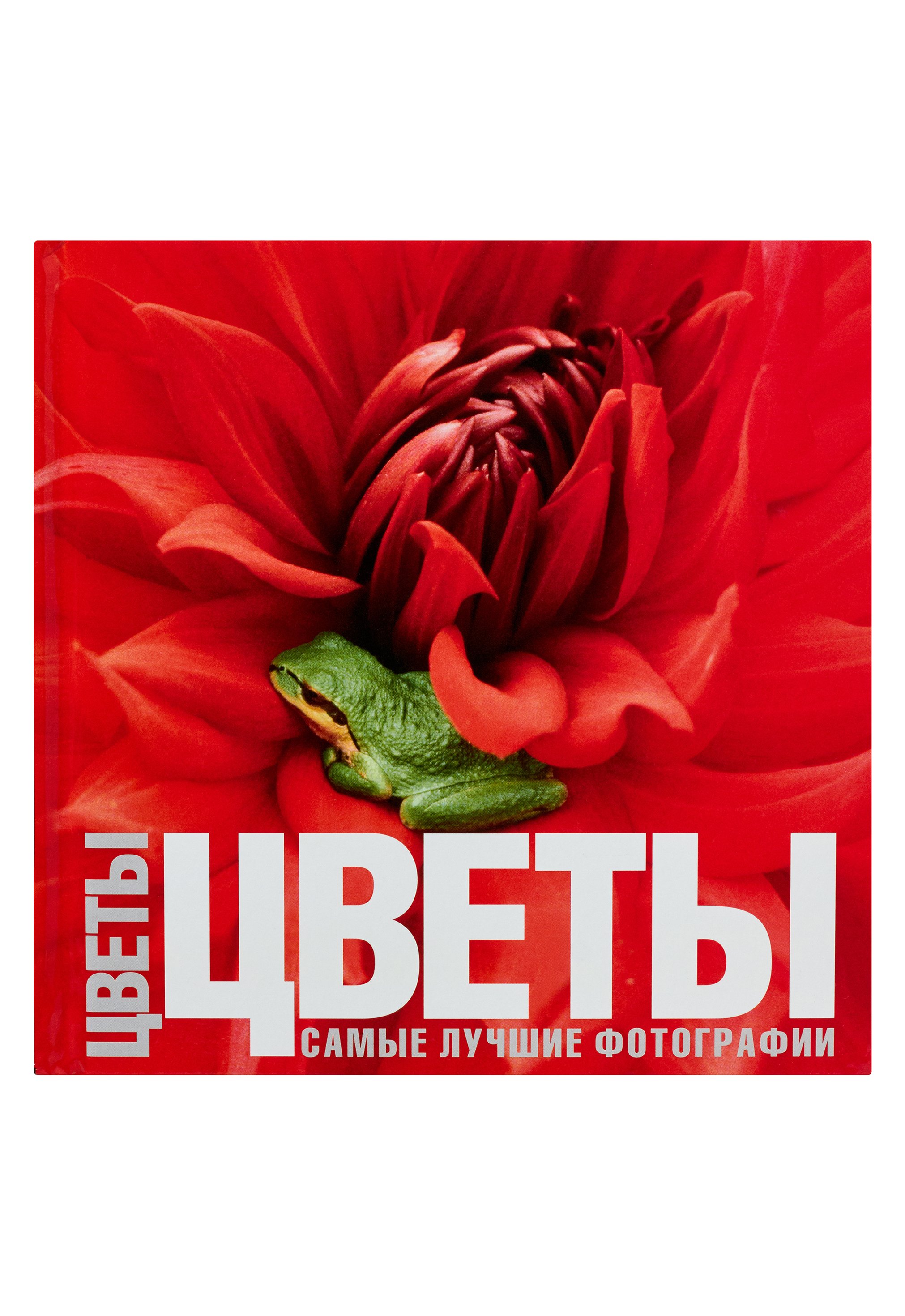 

Цветы.Самые лучшие фотографии: Альбом