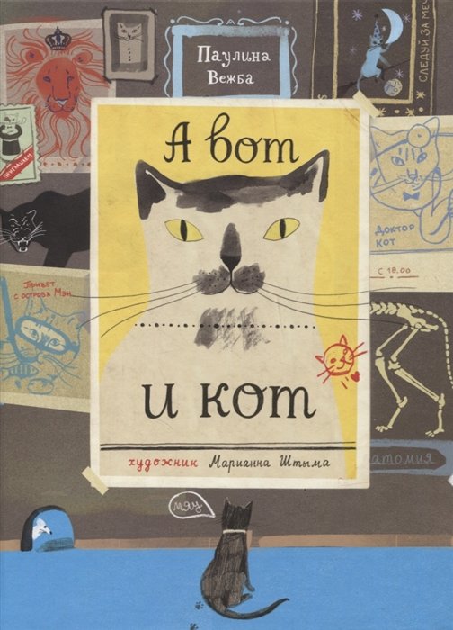 А вот и кот