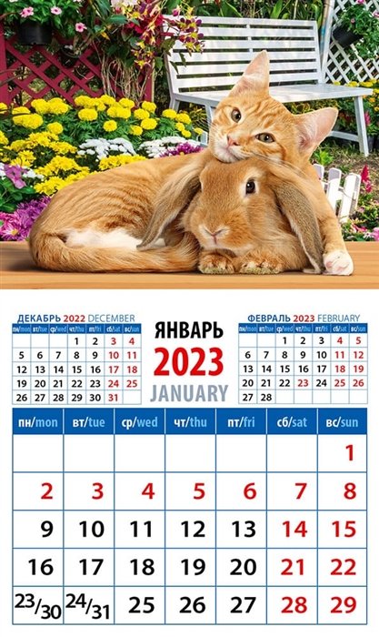Календарь магнитный на 2023 год "Год кота и кролика Настоящие друзья"