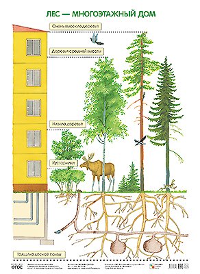 плакат мозаика синтез лес многоэтажный дом 5 шт Николаева С. Н ПЛ Лес — многоэтажный дом
