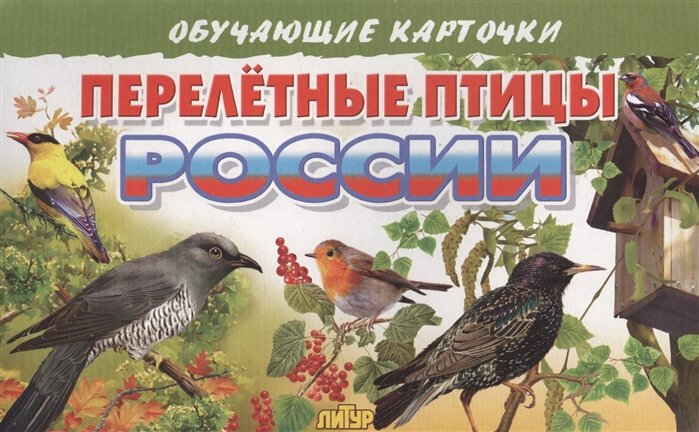 Обучающие карточки. Перелетные птицы России