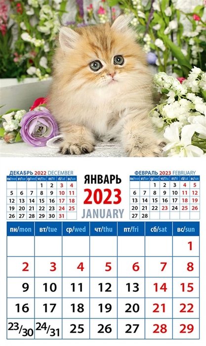 Календарь магнитный на 2023 год "Год кота. Пушистый красавчик"
