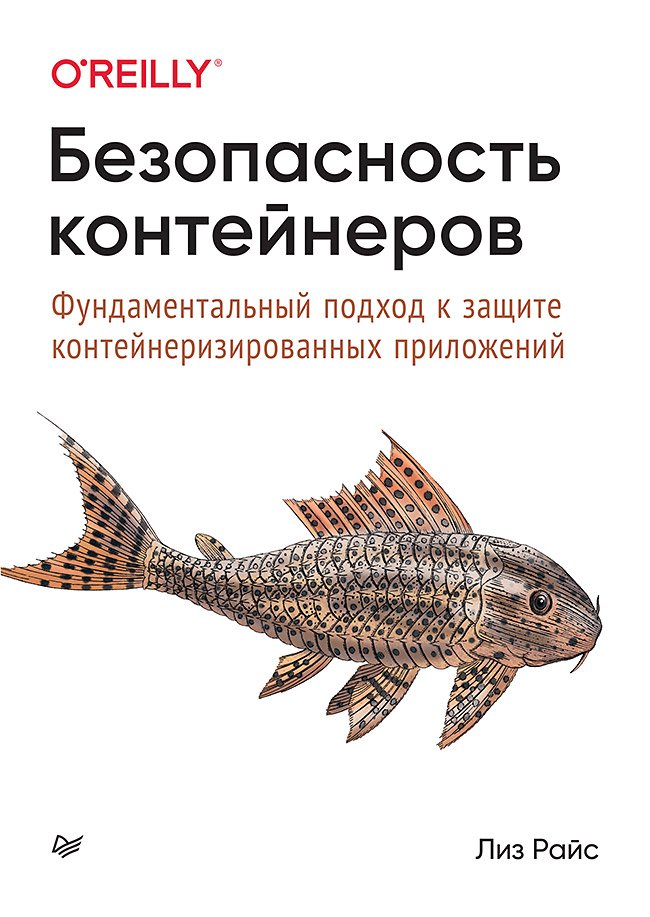 Райс Лиз - Безопасность контейнеров. Фундаментальный подход к защите контейнеризированных приложений