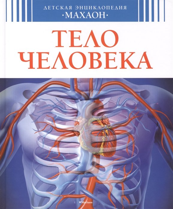 

Тело человека