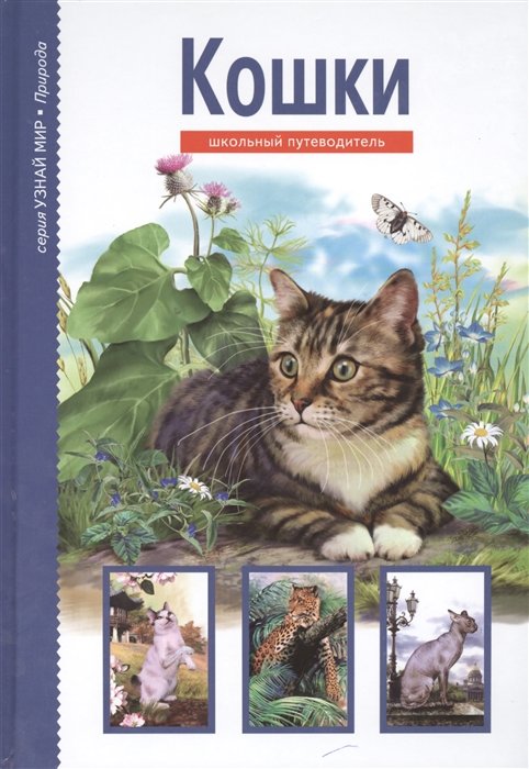 

Кошки