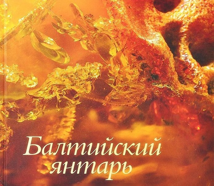 Суворова Т., Торопова И. - Балтийский янтарь из собрания Калининградского музея янтаря