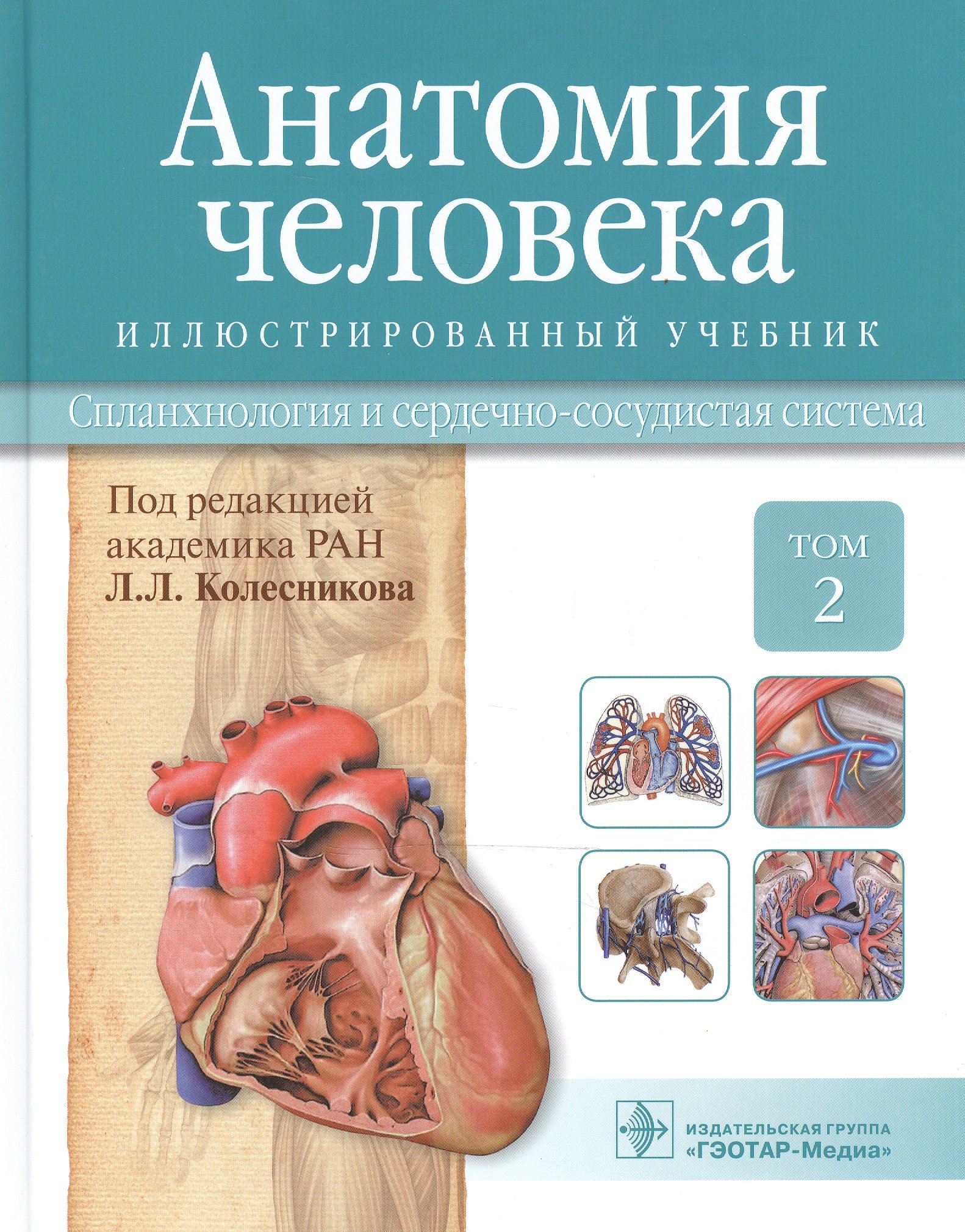 Анатомия человека. Учебник: Том 2. Спланхнология и сердечно-сосудистая  система (Колесников Л.(ред.)). ISBN: 978-5-9704-2885-6 ➠ купите эту книгу с  доставкой в интернет-магазине «Буквоед»