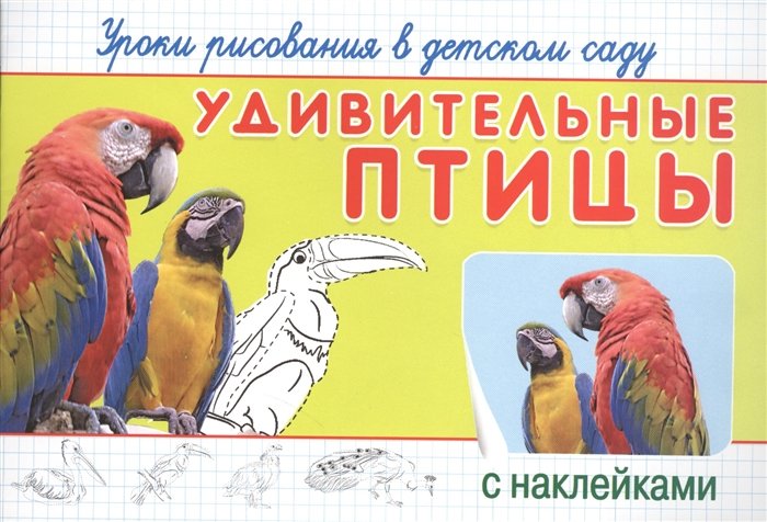 Удивительные птицы. Уроки рисования в детском саду с наклейками