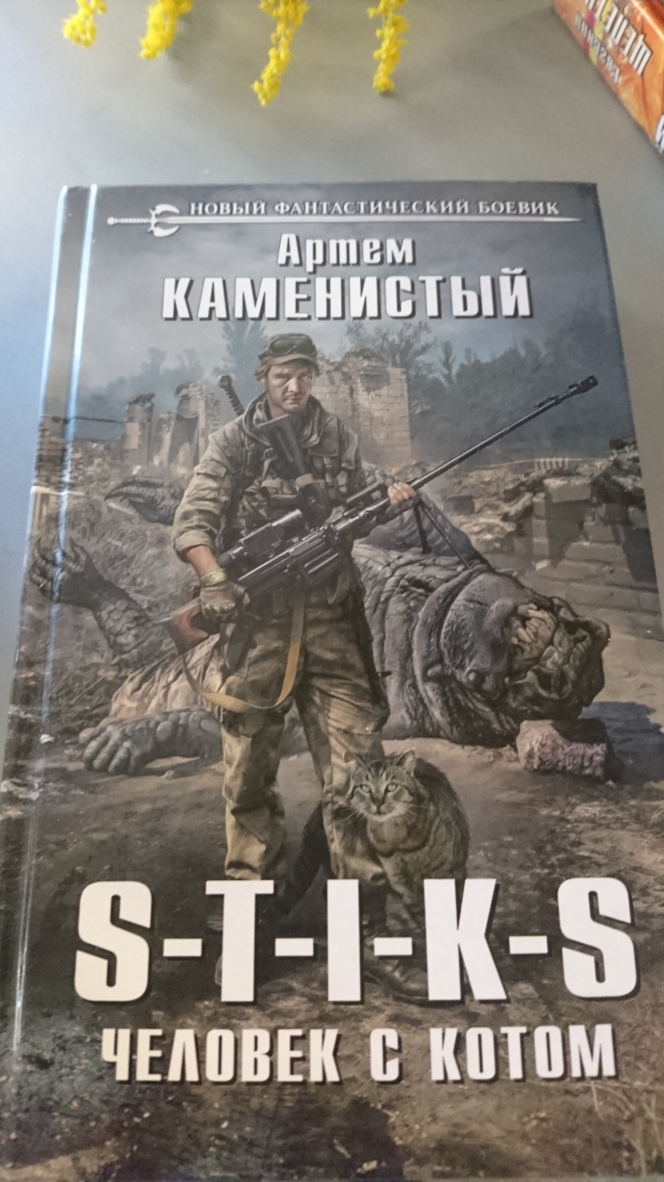 Стикс книги. S-T-I-K-S. Человек с котом Артем Каменистый. Человек с котом Артем Каменистый. Стикс улей.