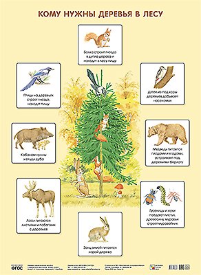 Николаева С. Н Кому нужны деревья в лесу (Плакаты) николаева с н пищевые цепочки плакаты