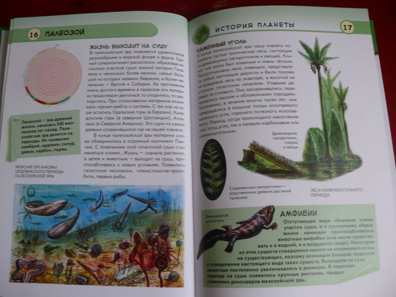 книга жизнь земли. книга жизнь земли. яковлев жизнь земли книга. история жизни на земле книга. жизнь на земле книга купить.