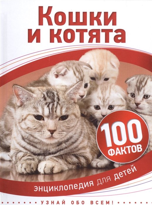 Паркер Стив - Кошки и котята
