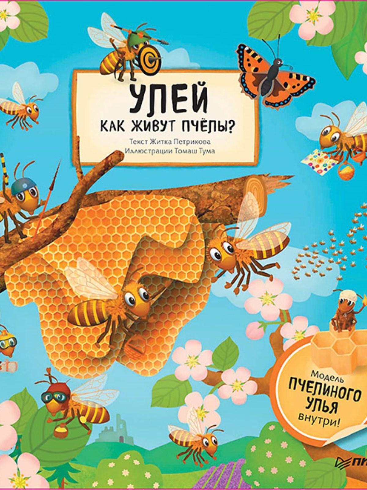 Улей. Как живут пчёлы?