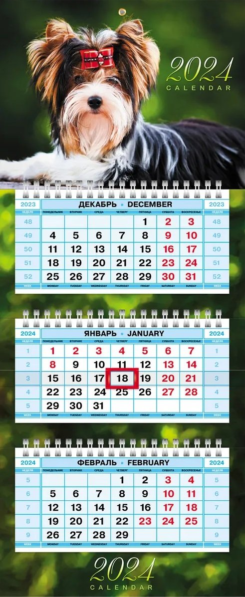 

Календарь квартальный 2024г 195*470 "Милашка Йорк" настенный, трёхблочный, спираль
