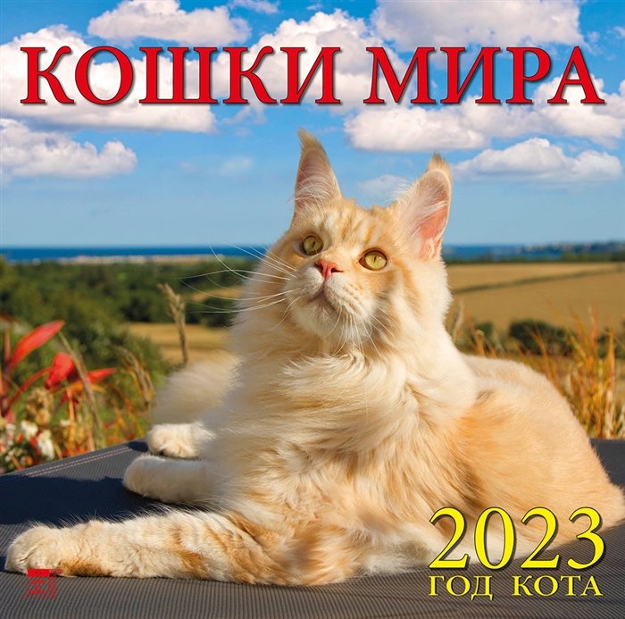 Календарь настенный на 2023 год "Год кота. Кошки мира"