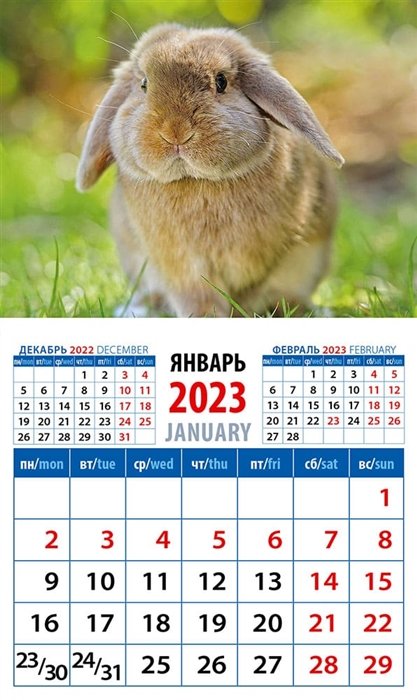 Календарь магнитный на 2023 год "Год кролика. Обаятельный и привлекательный"