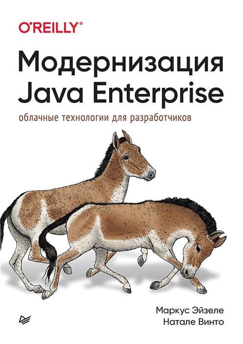  Java Enterprise:    