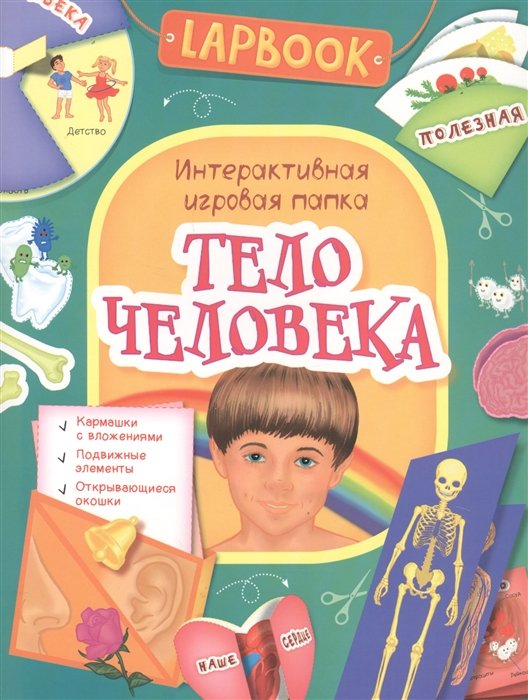 Новикова Е. (ред.) - Lapbook. Тело человека. Интерактивная игровая папка