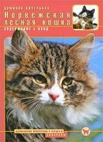 сибирская кошка содержание и уход цвет Норвежская лесная кошка : содержание и уход
