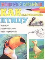 

Как нарисовать птицу