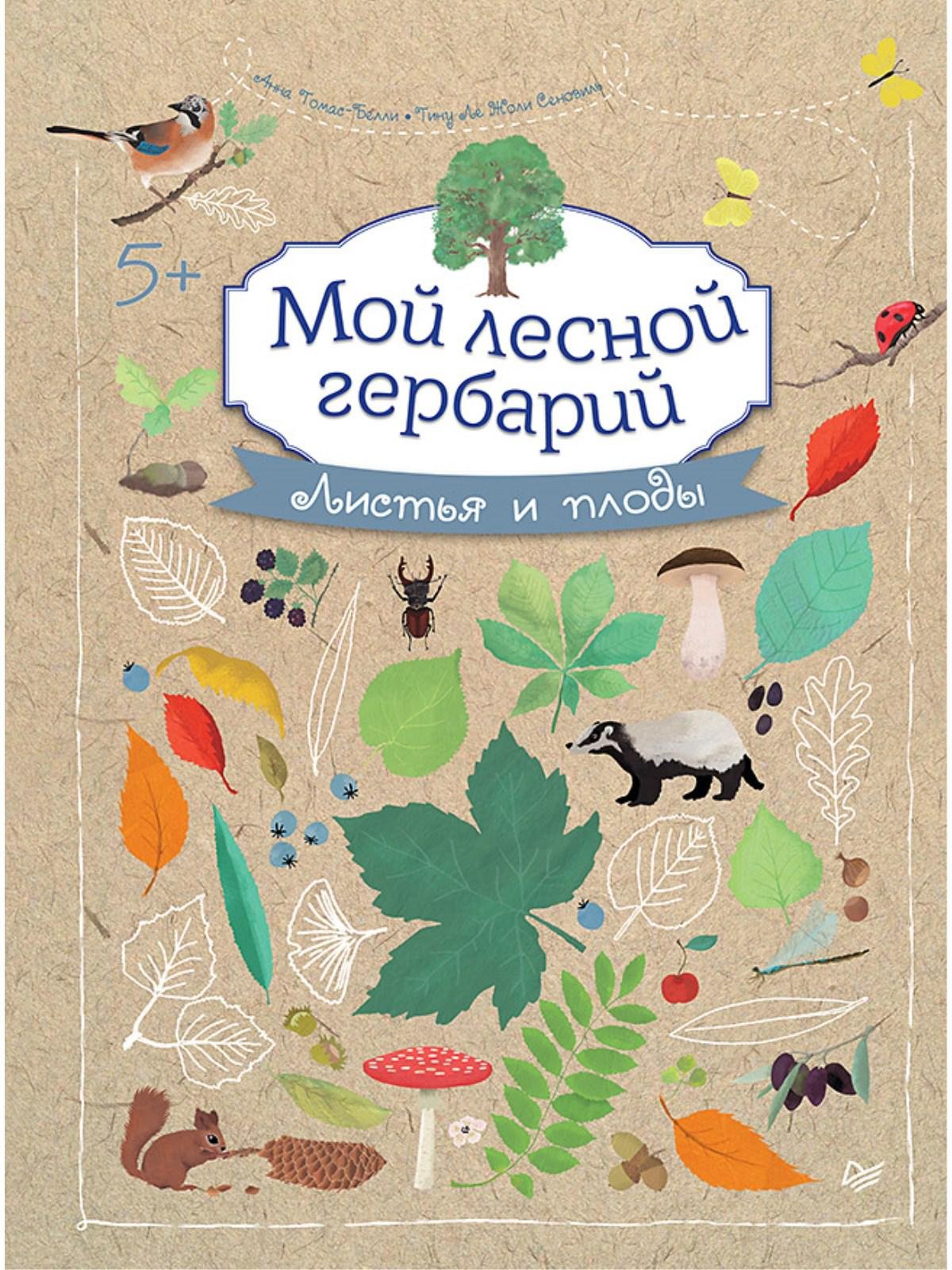 Книга гербарий. Книга мой Лесной гербарий. Книга гербарий для детей. Гербарий обложка. Гербарий титульный лист.