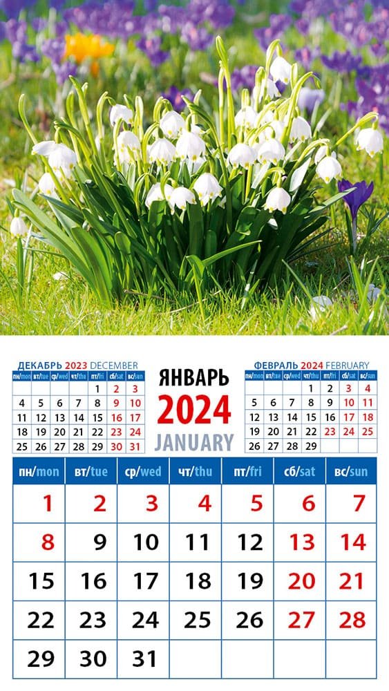 

Календарь 2024г 94*167 "Ландыши" на магните