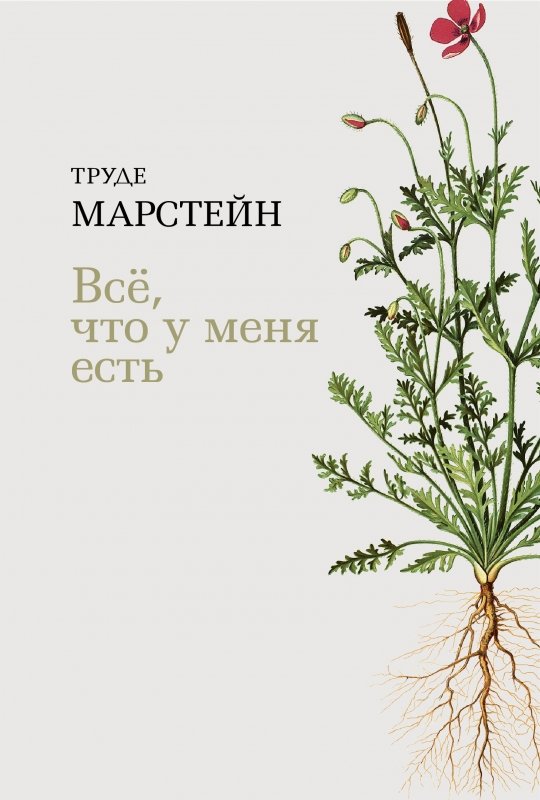 

Всё, что у меня есть