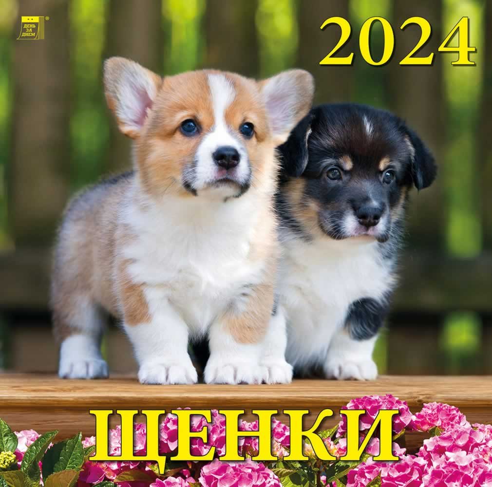 

Календарь 2024г 300*300 "Щенки" настенный, на скрепке