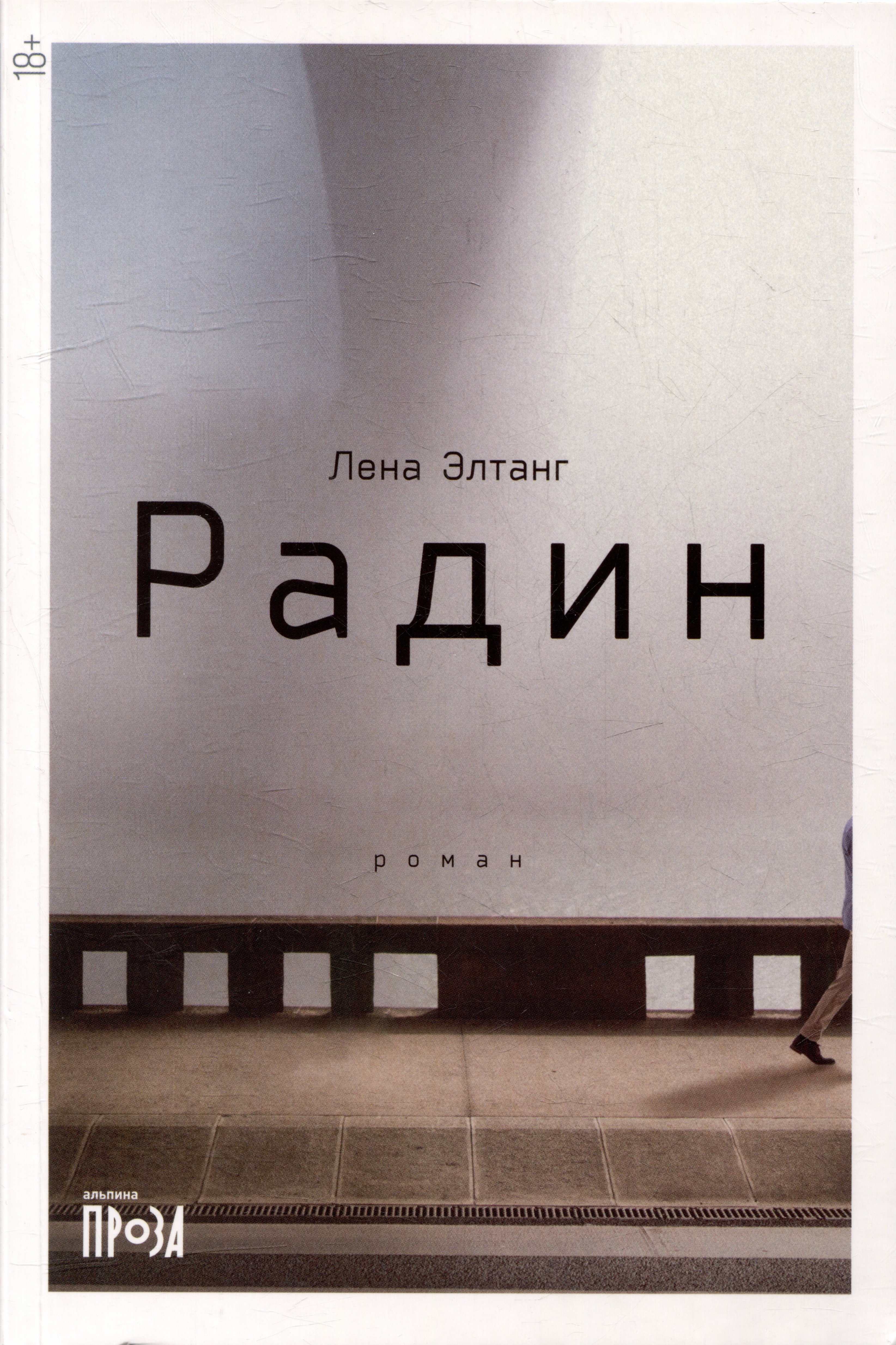 Лена элтанг. Лена Элтанг Радин. Лена Элтанг книги. Радин книга. Лена Элтанг Радин иллюстрации.