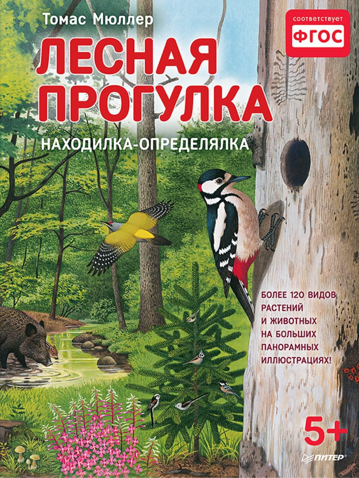 Лесная прогулка. Находилка-определялка с панорамными иллюстрациями. 5+ Найди более 120 видов растений и животных на больших панорамных иллюстрациях!