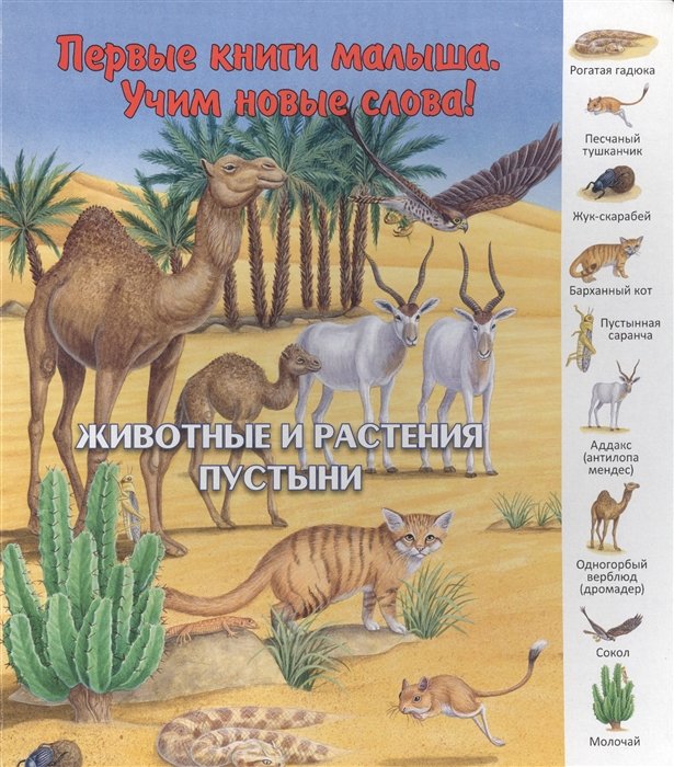 Комарова О. (отв.ред.) - Животные и растения пустыни