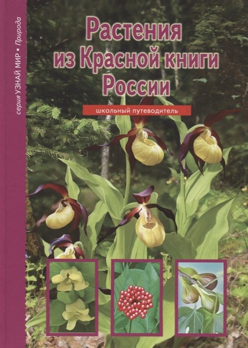 Растения из Красной книги России. Школьный путеводитель