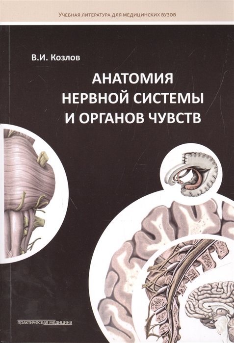 

Анатомия нервной системы и органов чувств. Учебное пособие