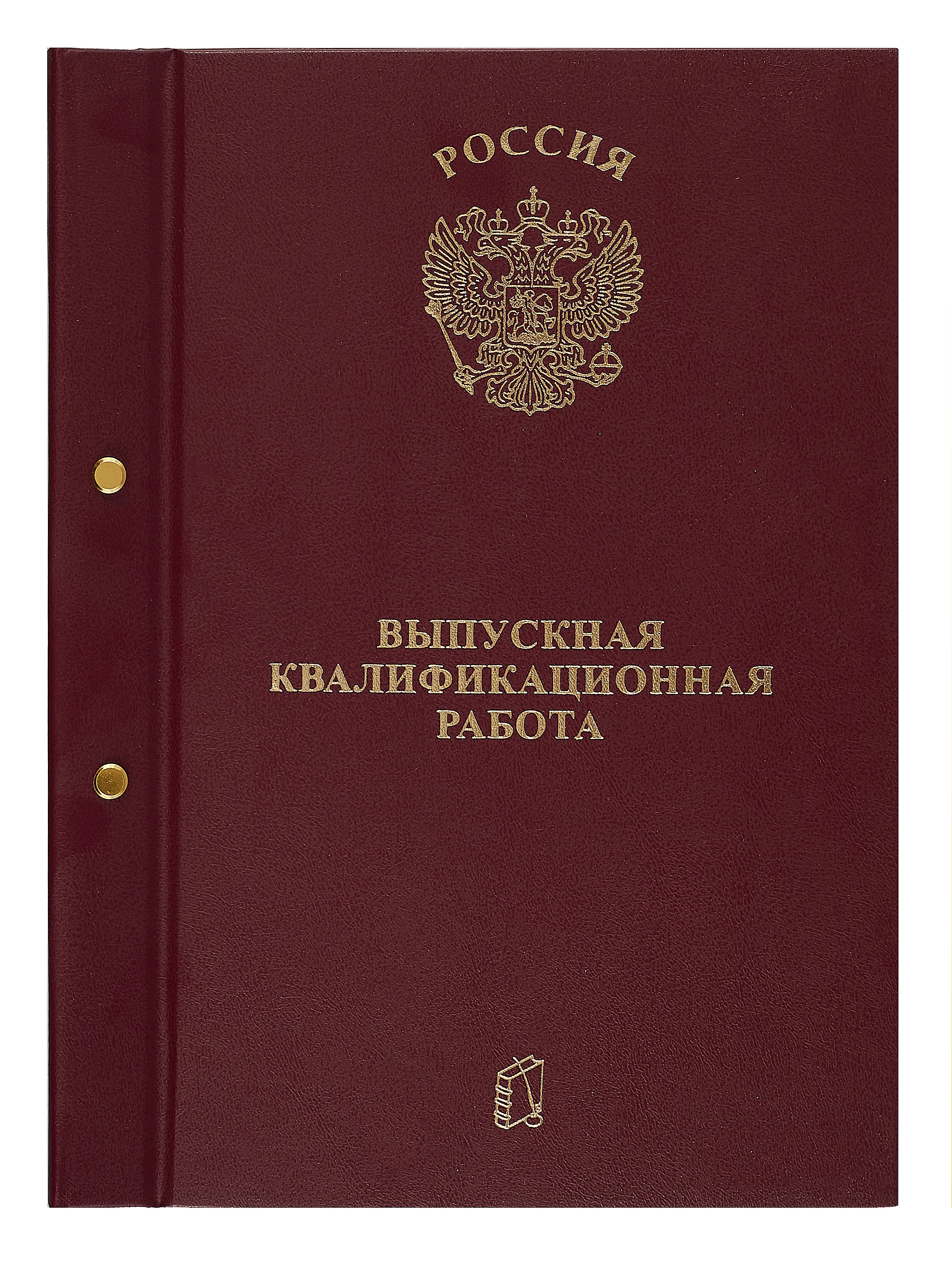 Папка Выпускная квалификационная работа бордо, с 2-мя отверстиями | Буквоед  (6563892)