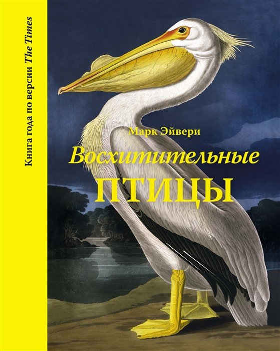 

Восхитительные птицы