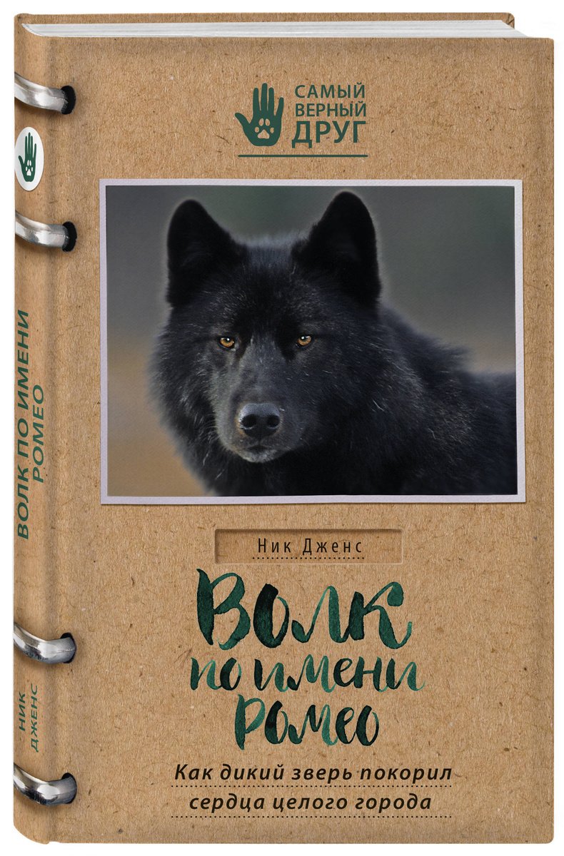 

Волк по имени Ромео. Как дикий зверь покорил сердца целого города