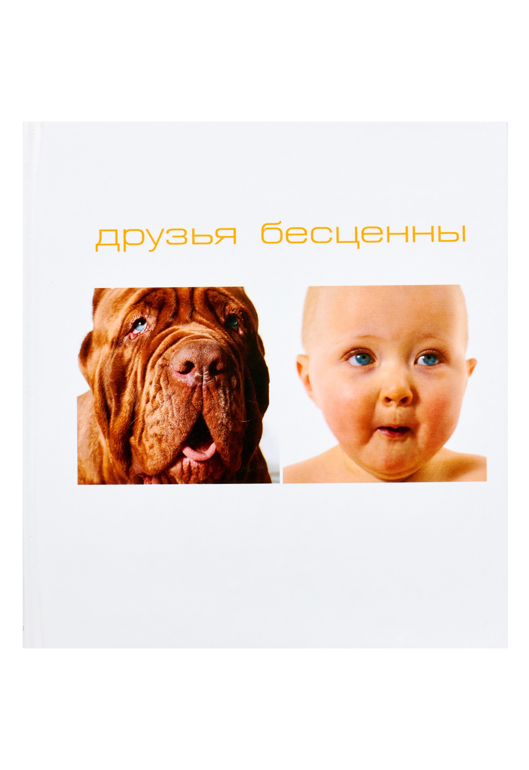 Друзья бесценны Вики Силин