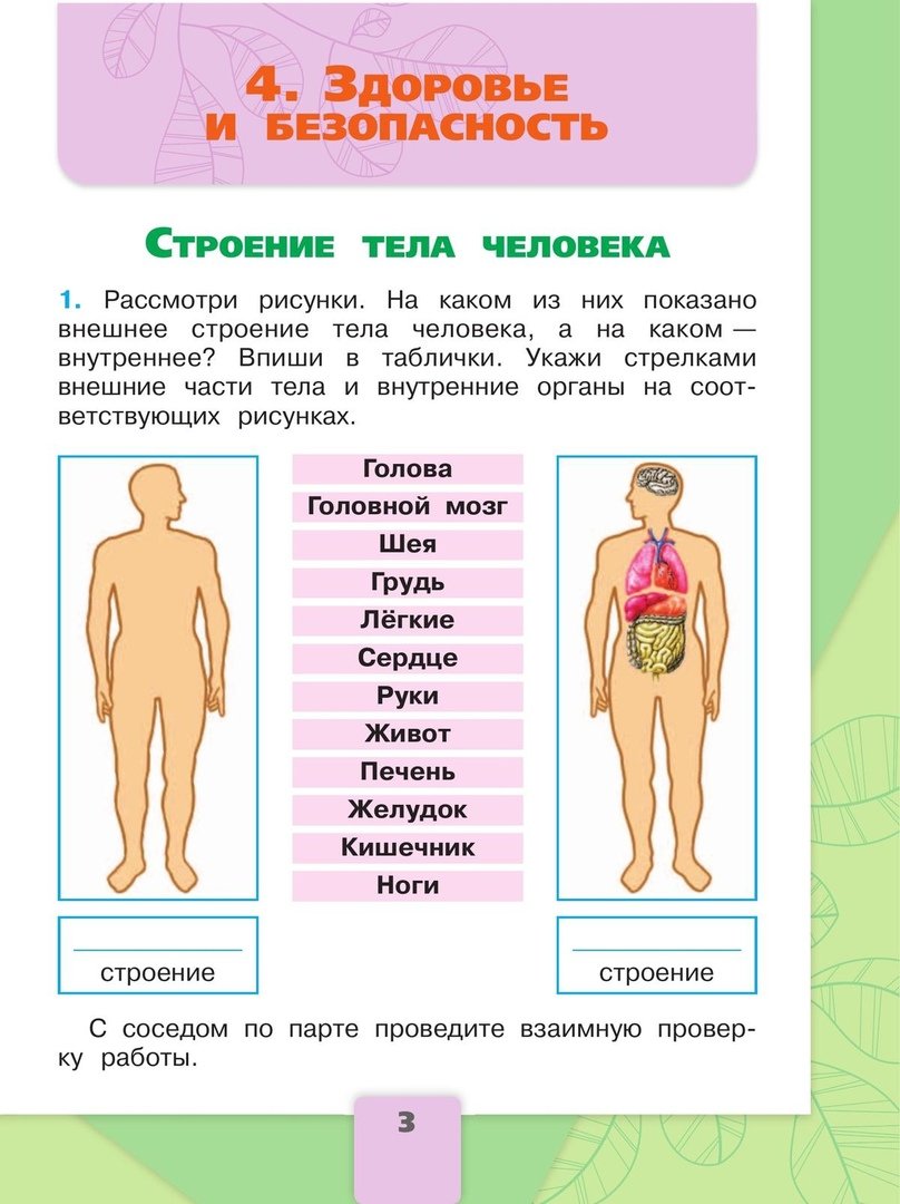 Окружающий мир. Рабочая тетрадь. 2 класс. В 2-х частях. Часть 2 (Плешаков  Андрей Анатольевич). ISBN: 978-5-09-099191-9 ➠ купите эту книгу с доставкой  в интернет-магазине «Буквоед»