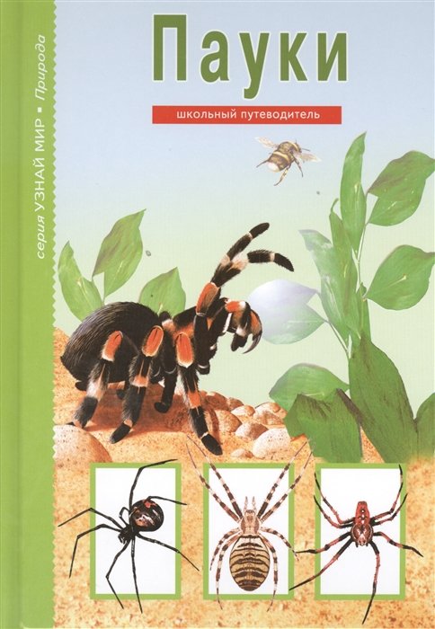 Пауки, клещи, скорпионы