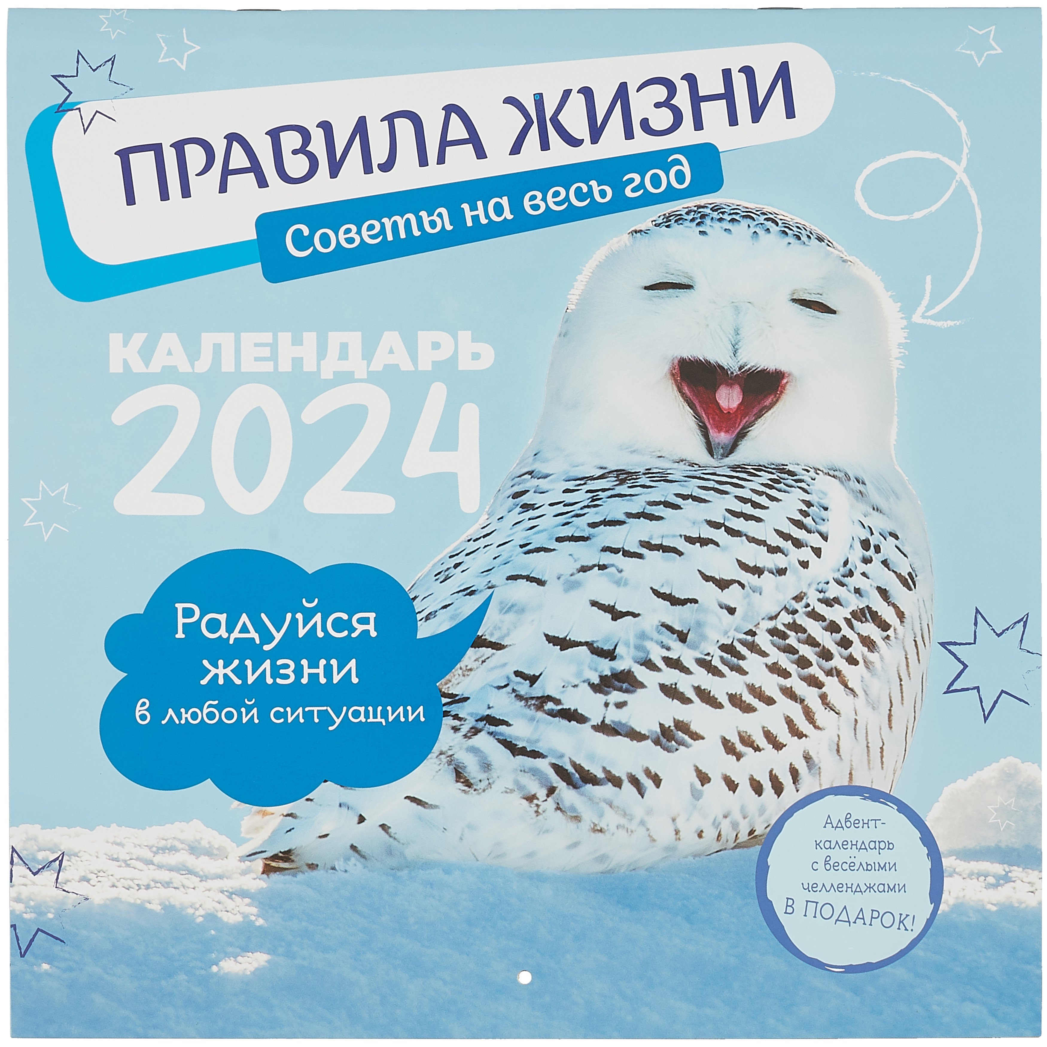 Купить Календарь Плакат На 2025 Год Настенный