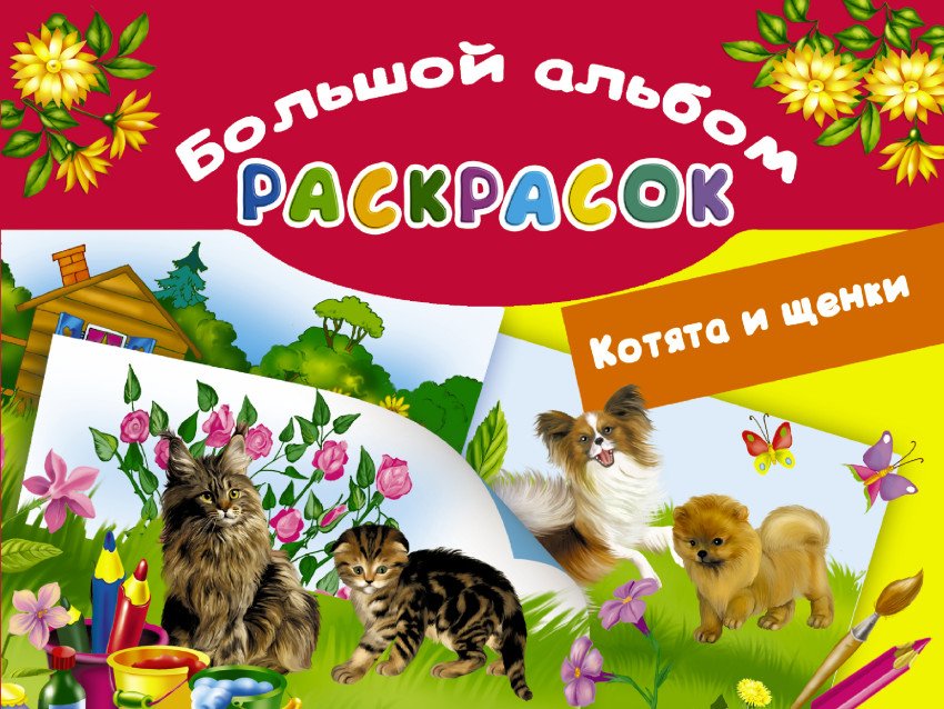 Котята и щенки