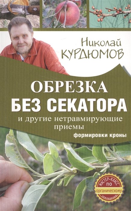 

Обрезка без секатора и другие нетравмирующие приемы формировки кроны