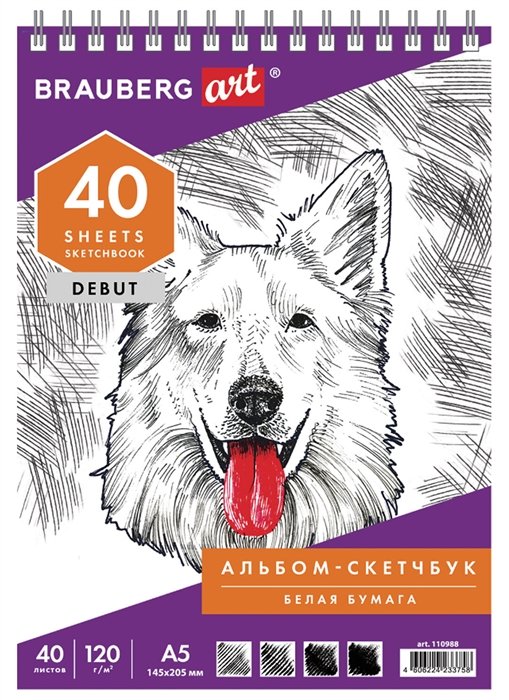 

Скетчбук 145*205 40л белая бумага 120г/м2, гребень, жёстк.подложка, BRAUBERG ART DEBUT