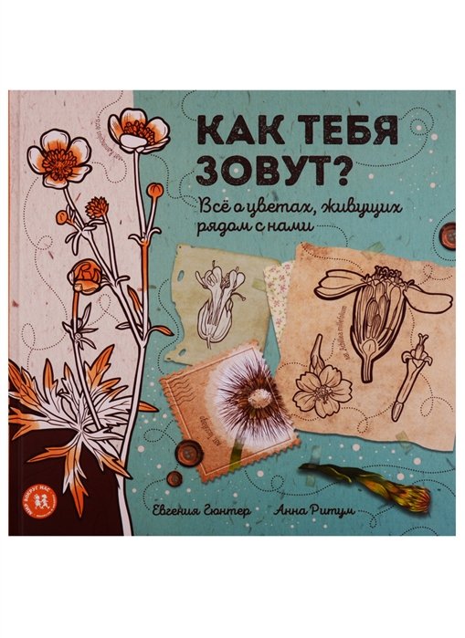 

Как тебя зовут Все о цветах, живущих рядом с нами