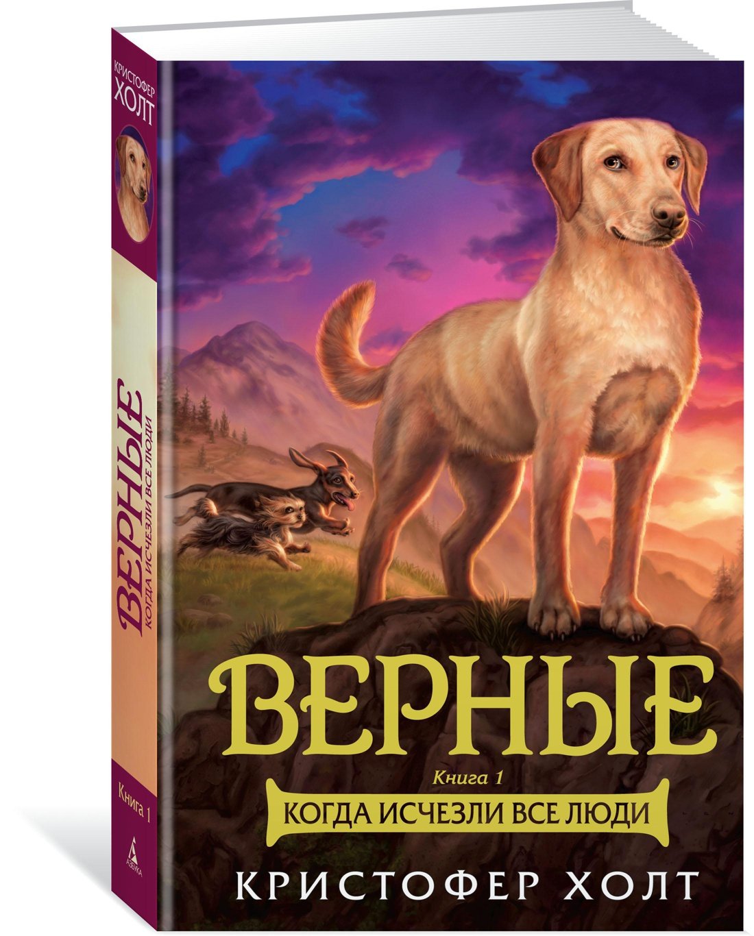 Верные. Книга 1. Когда исчезли все люди (Холт К.). ISBN: 978-5-389-14775-1  ➠ купите эту книгу с доставкой в интернет-магазине «Буквоед»