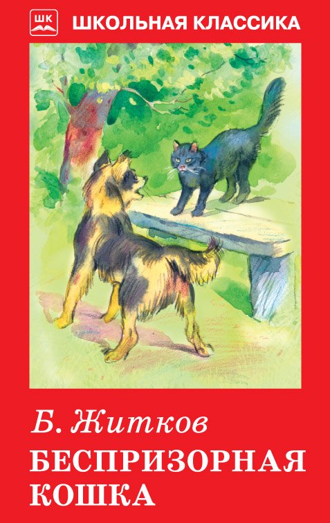 

Беспризорная кошка