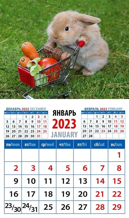Календарь магнитный на 2023 год "Год кролика. Все свое вожу с собой"