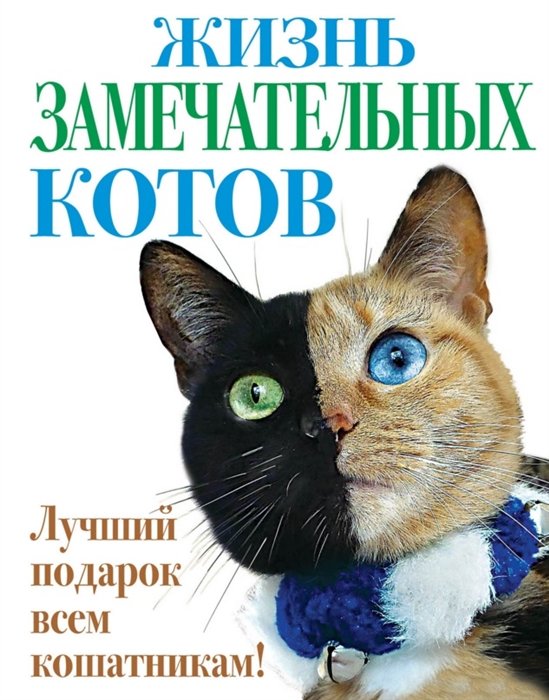 

Жизнь замечательных котов