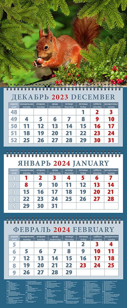 

Календарь квартальный 2024г 320*760 "Белка с орехом" настенный, трёхблочный, спираль